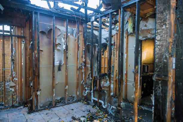 Professional Smoke Damage Removal technician working in Sleepy Hollow, CA